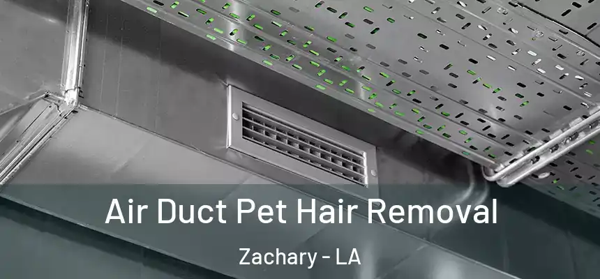 Air Duct Pet Hair Removal Zachary - LA