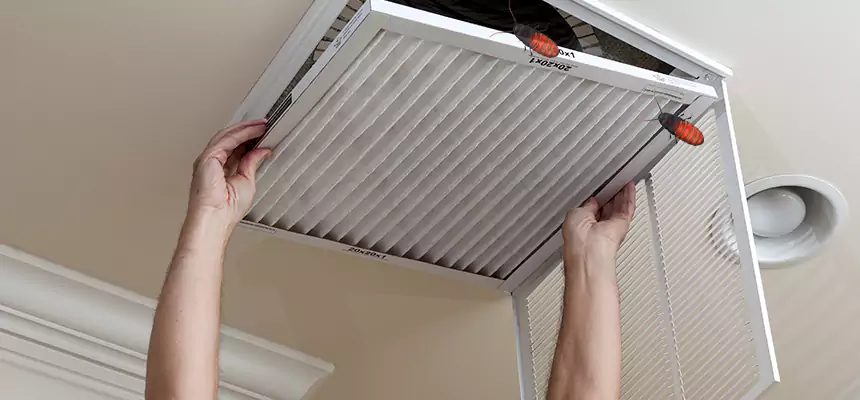 Preventive Cockroach-Proofing for Ducts in Zachary