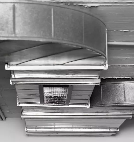 Professional Air Duct Pet Hair Removal in Zachary, LA