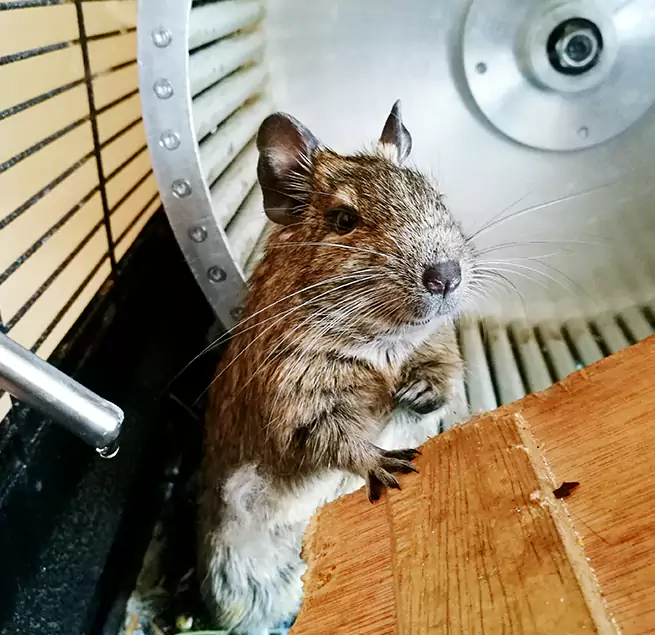 Why Homeowners & Businesses Trust Us Zachary, LA