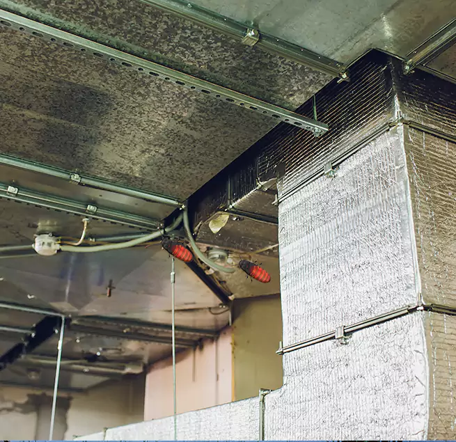 Why Homeowners & Businesses Trust Us Zachary, LA?